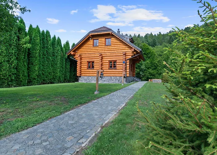 Prázdninový dům House With A Swimming Pool Brod Na Kupi, Gorski Kotar - 23012